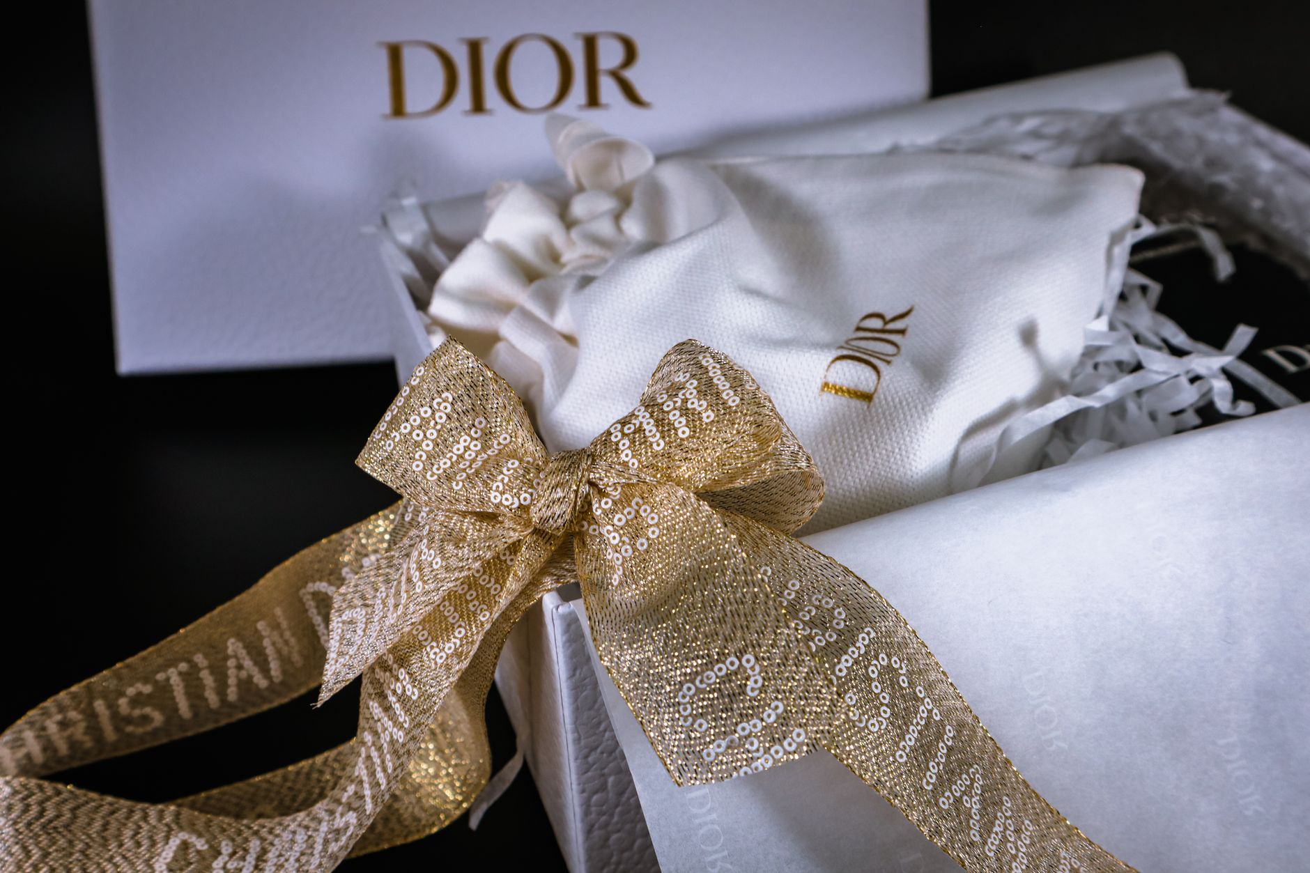 Best Dior Bag to Buy in 2026