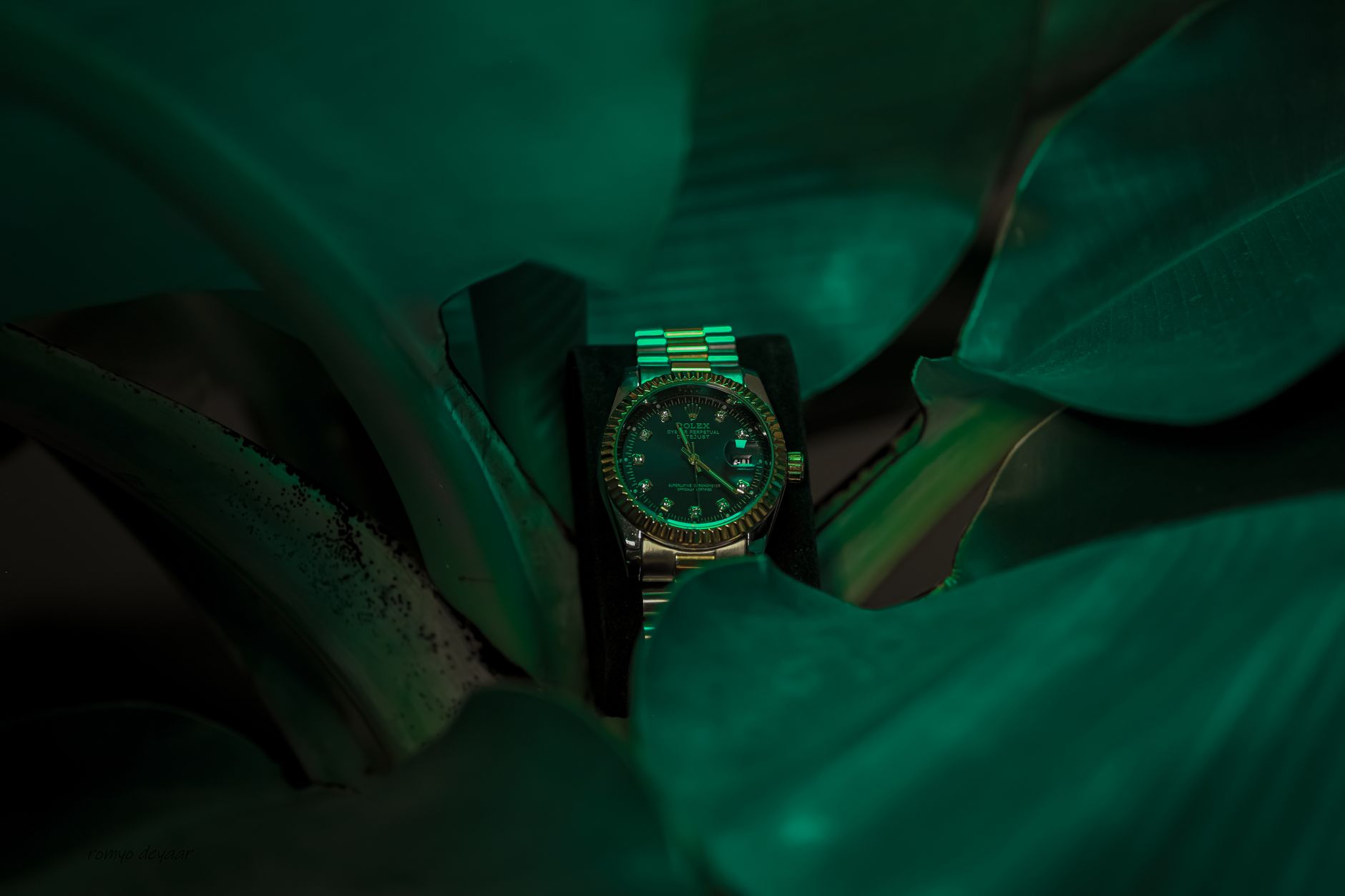 Rolex Shoes Review: Is It Worth It?
