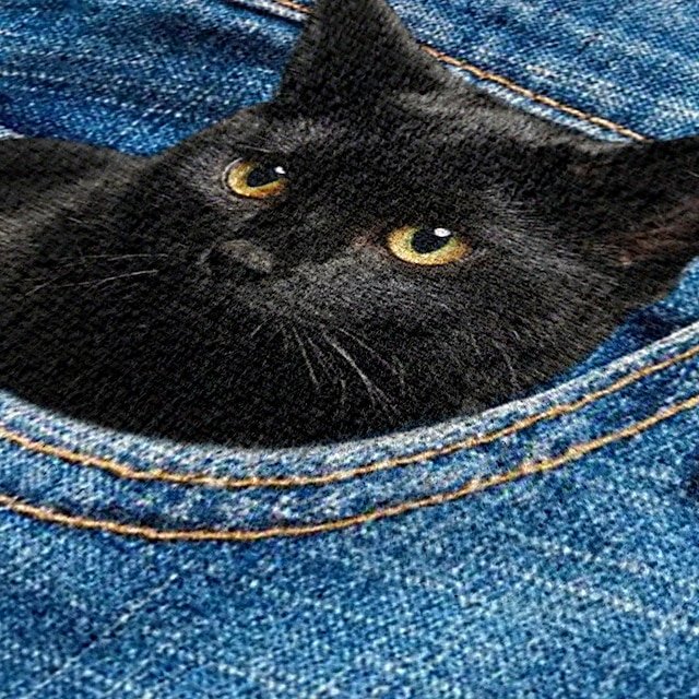 Cute Black Cat Denim Print Crossbody Bag - Image 5