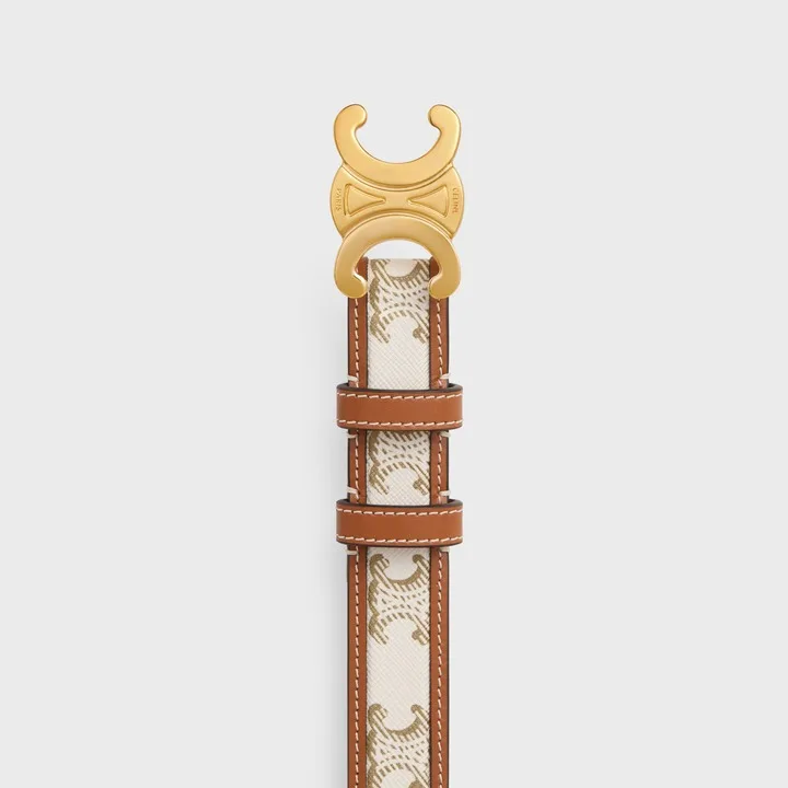 Celine Medium Triomphe Belt - Image 3