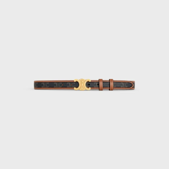 Celine Medium Triomphe Belt - Image 3