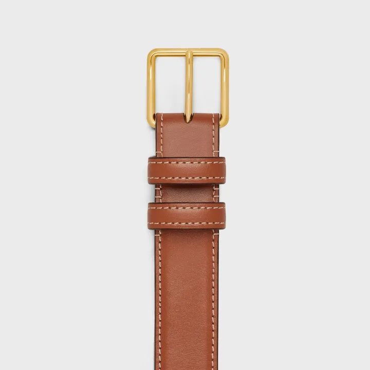 Celine Belt Bag Triomphe Belt Tan - Image 5