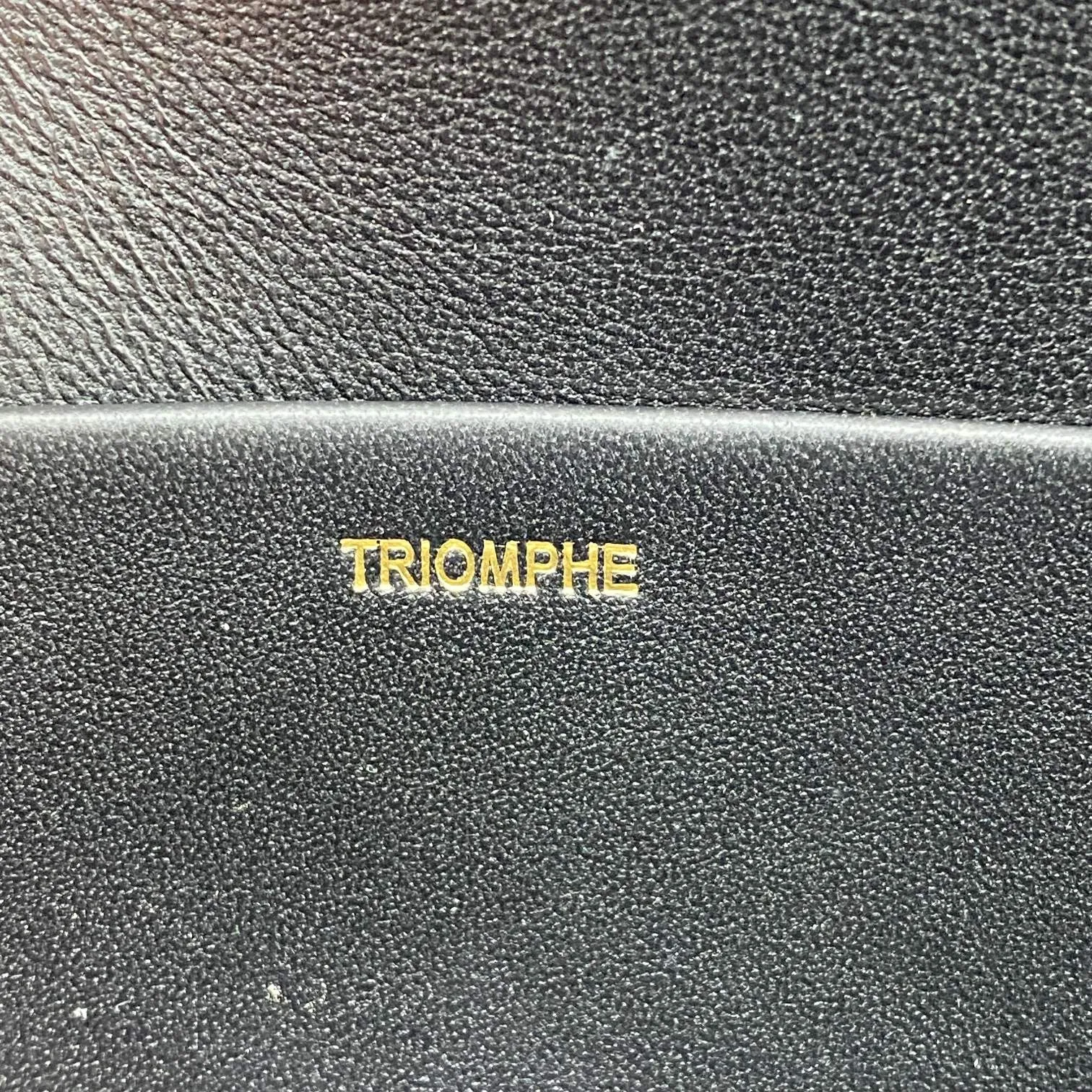 Celine Triomphe Minaudiere Black / - Image 3