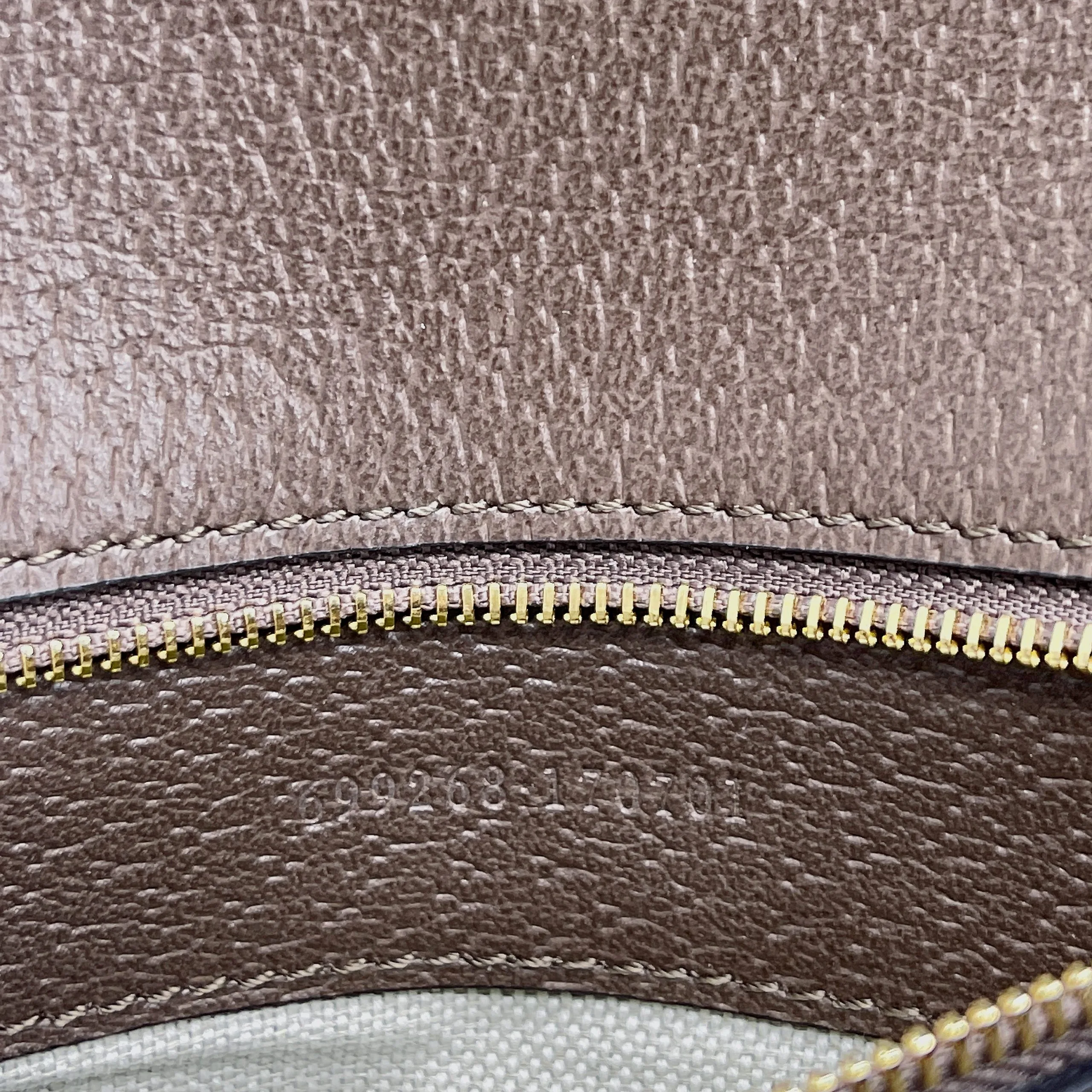 Gucci Blondie Medium Shoulder Bag / Beige/ Ebony GG Supreme Canvas Gold Hardware - Image 14