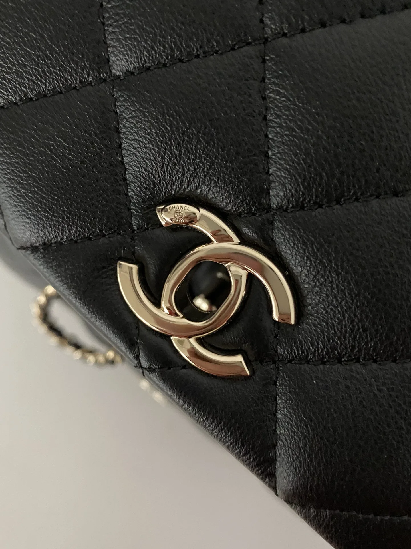 Chanel Duma Backpack / Black Gold Hardware - Image 5