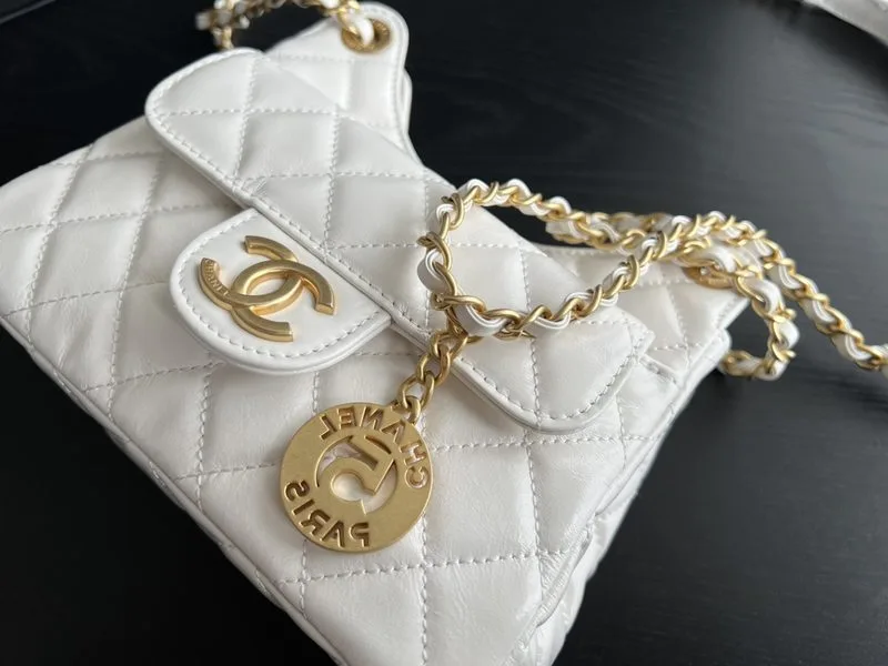 Chanel Small Hobo Bag / White Gold Hardware - Image 7