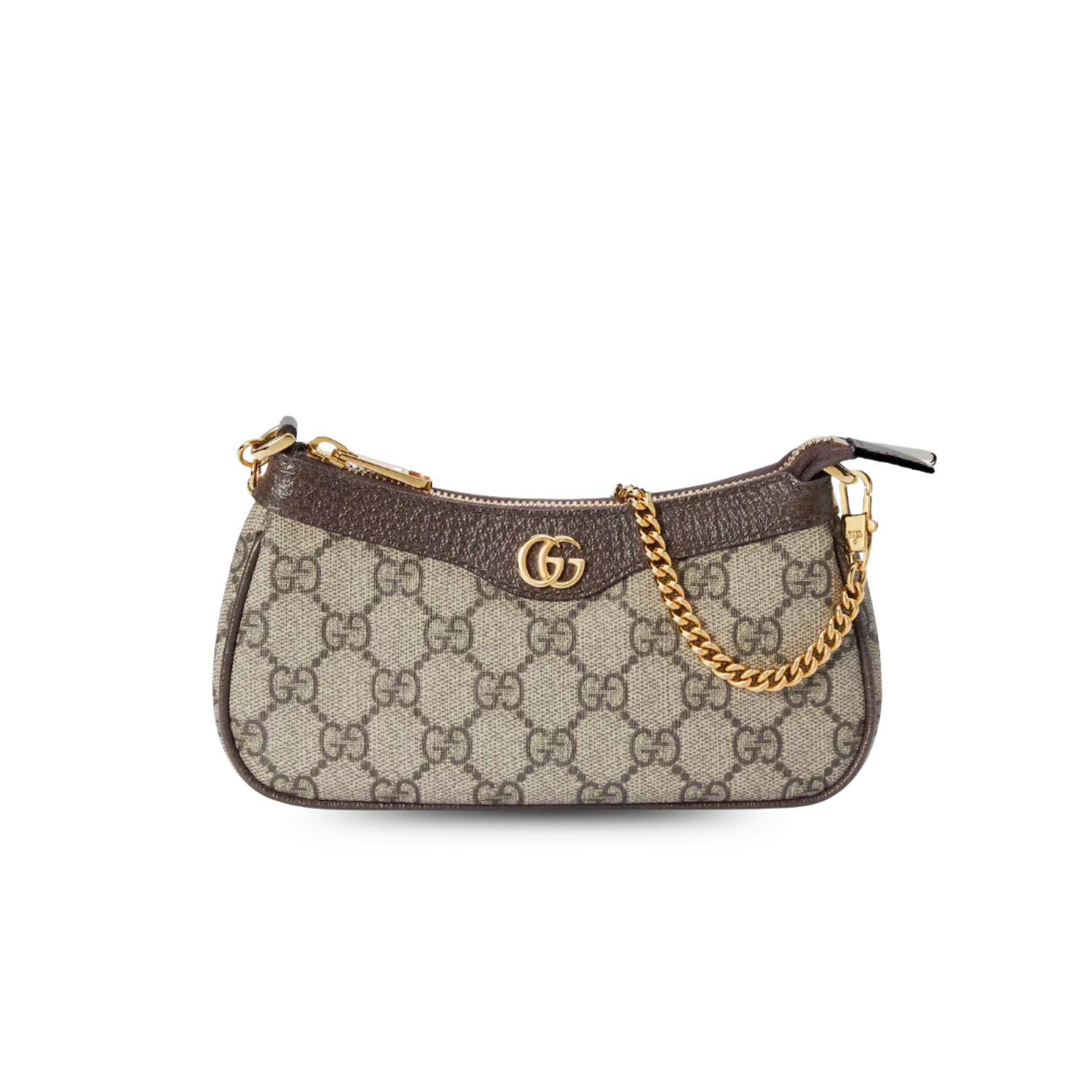 Gucci Ophidia Mini