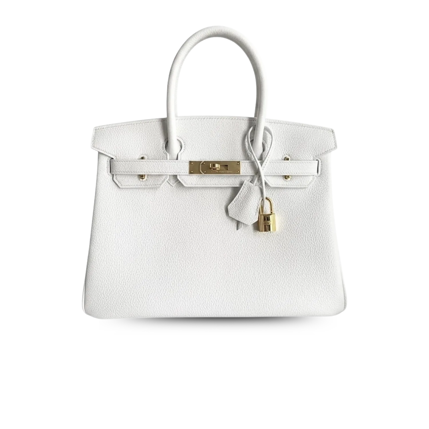 Hermes Birkin Top Handle Bag / White Gold Hardware