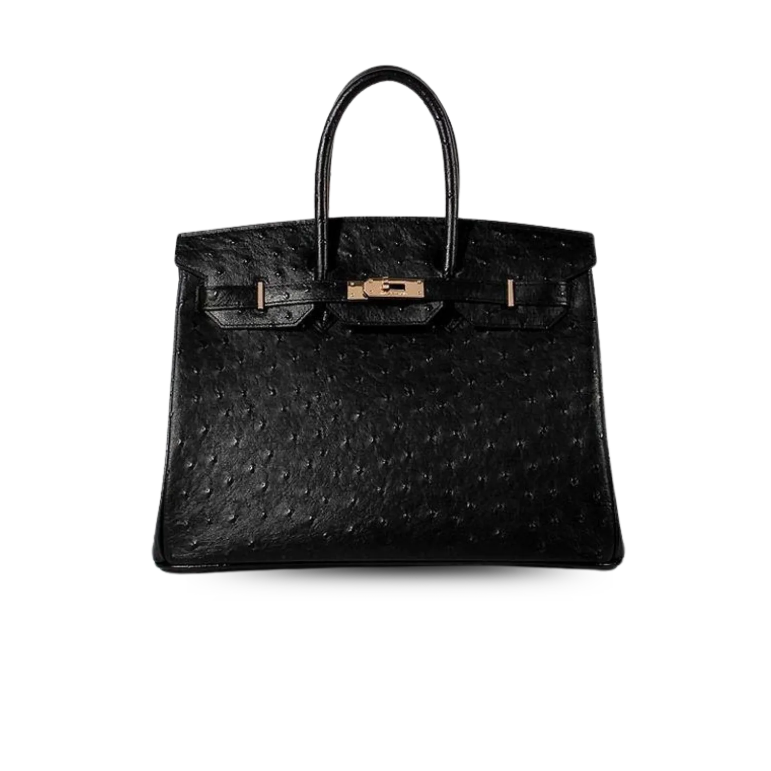 Hermes Birkin With