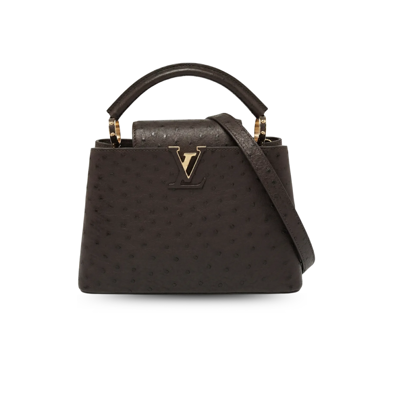 Louis Vuitton Capucines