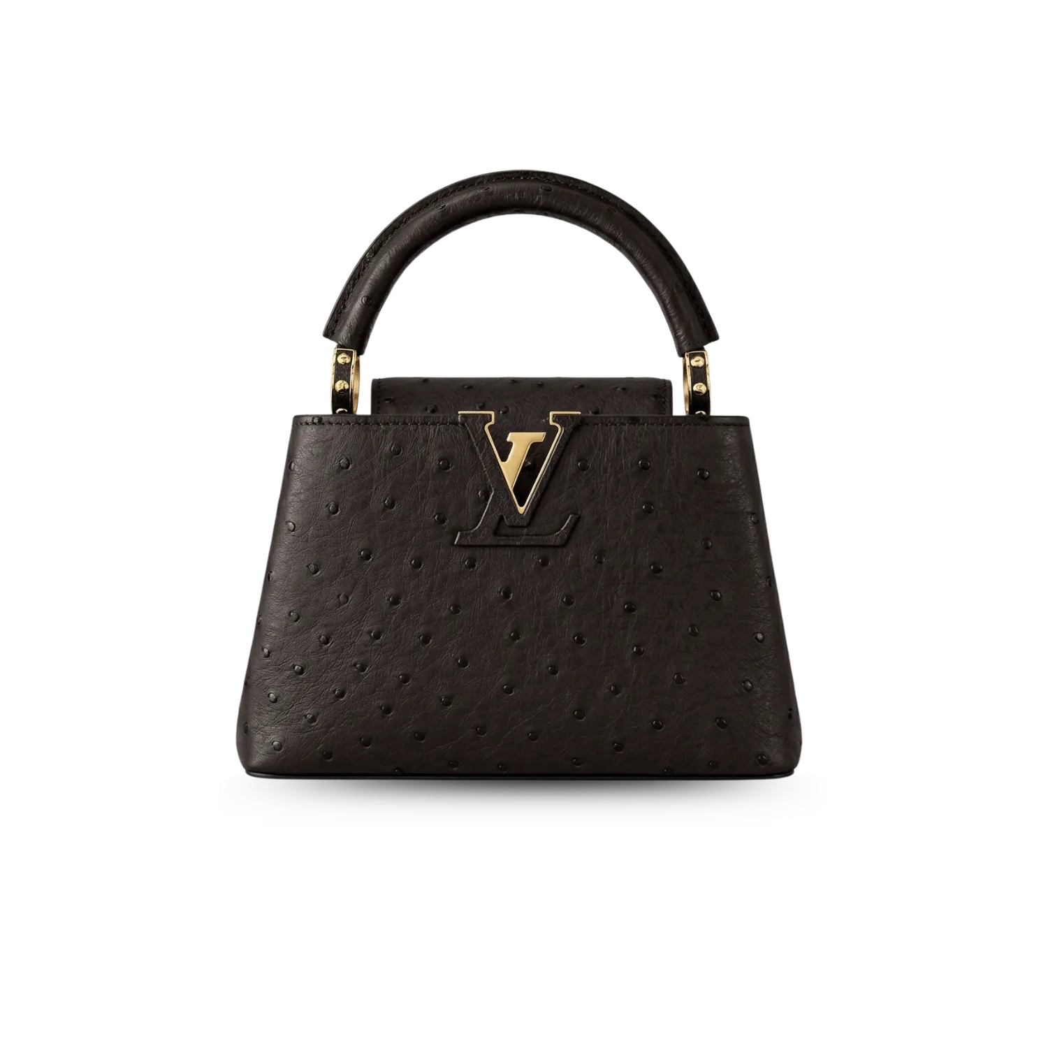 Louis Vuitton Capucines