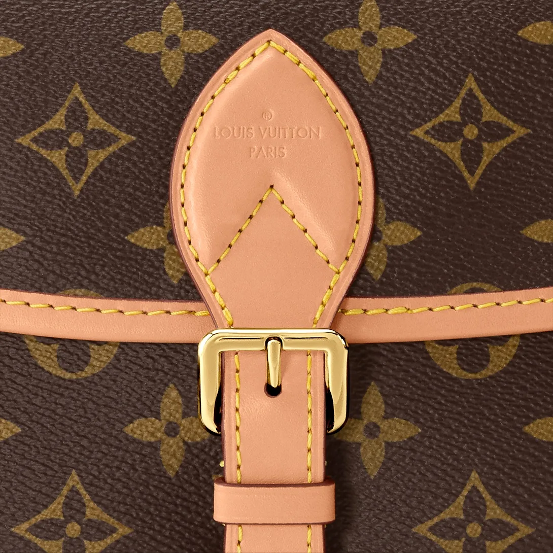 Louis Vuitton Diane Shoulder Bag / Brown Monogram Gold Hardware - Image 8