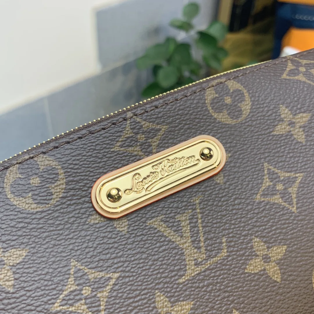 Louis Vuitton Eva 2Way Chain Shoulder Bag / Brown Monogram - Image 8