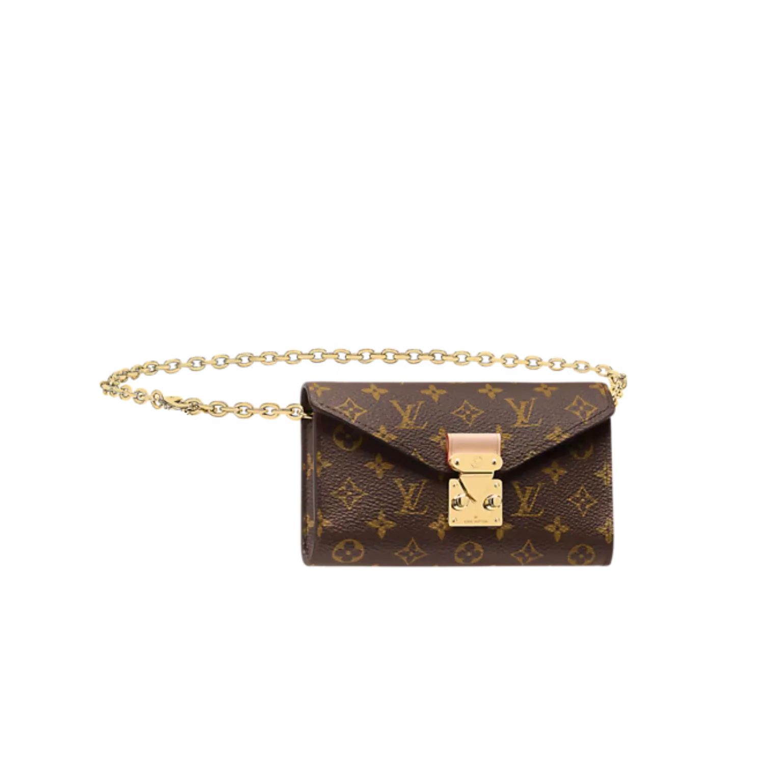 Louis Vuitton Pouch