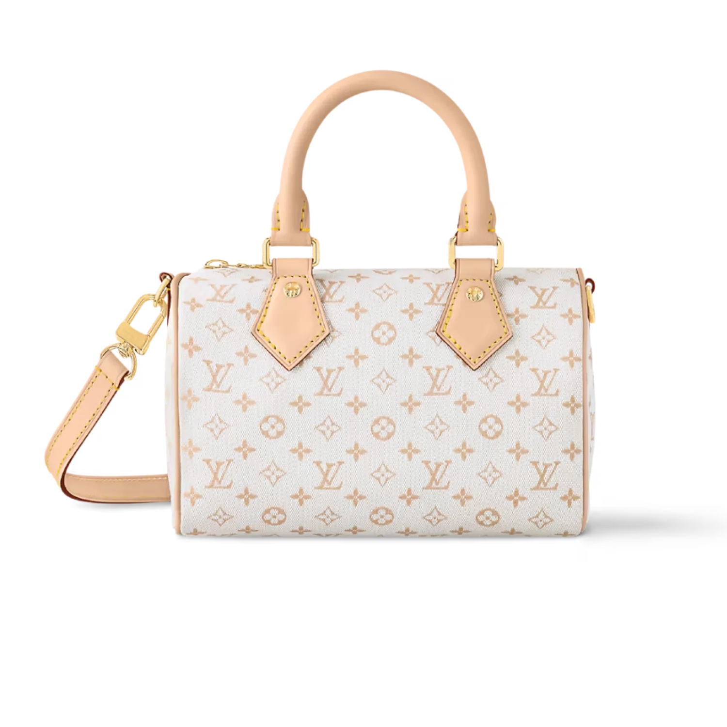 Louis Vuitton Speedy