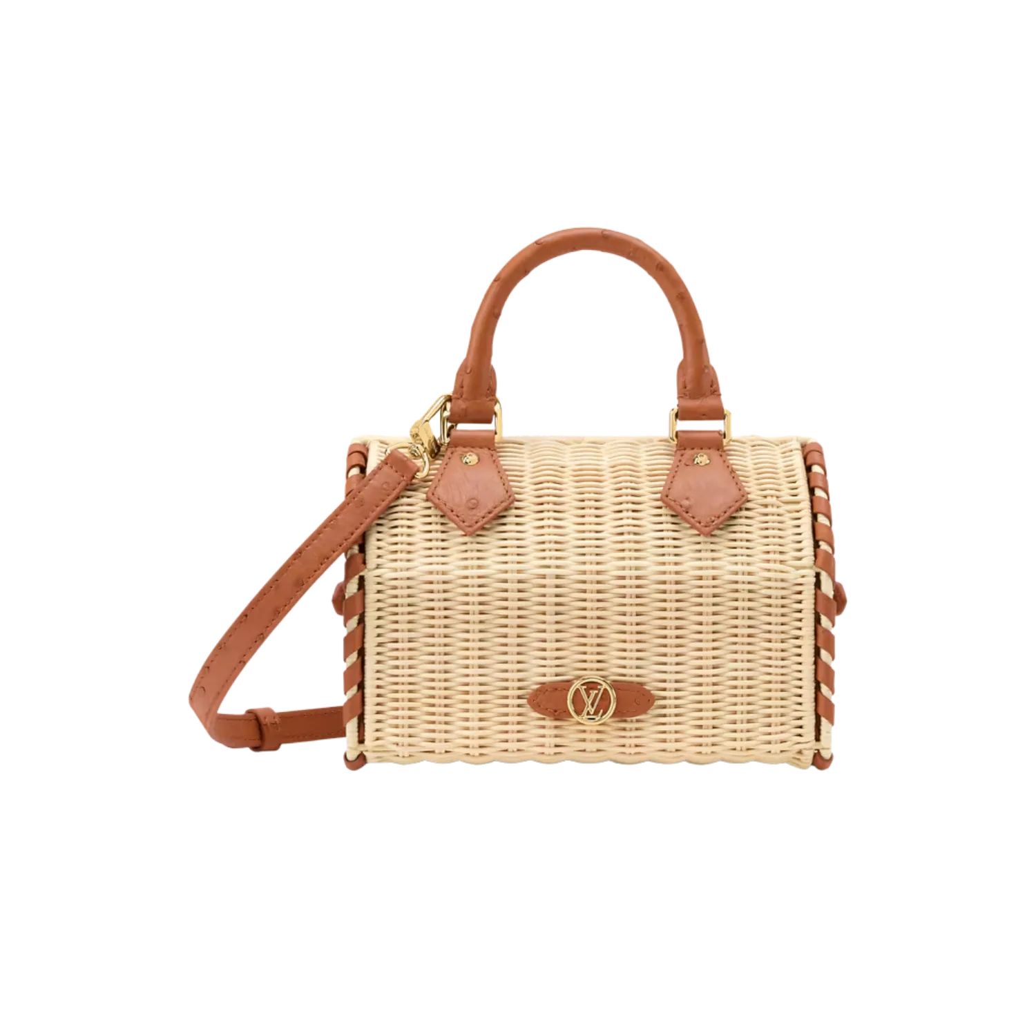 Louis Vuitton Speedy