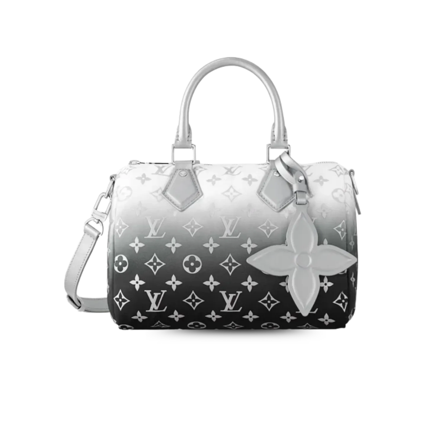 Louis Vuitton Speedy
