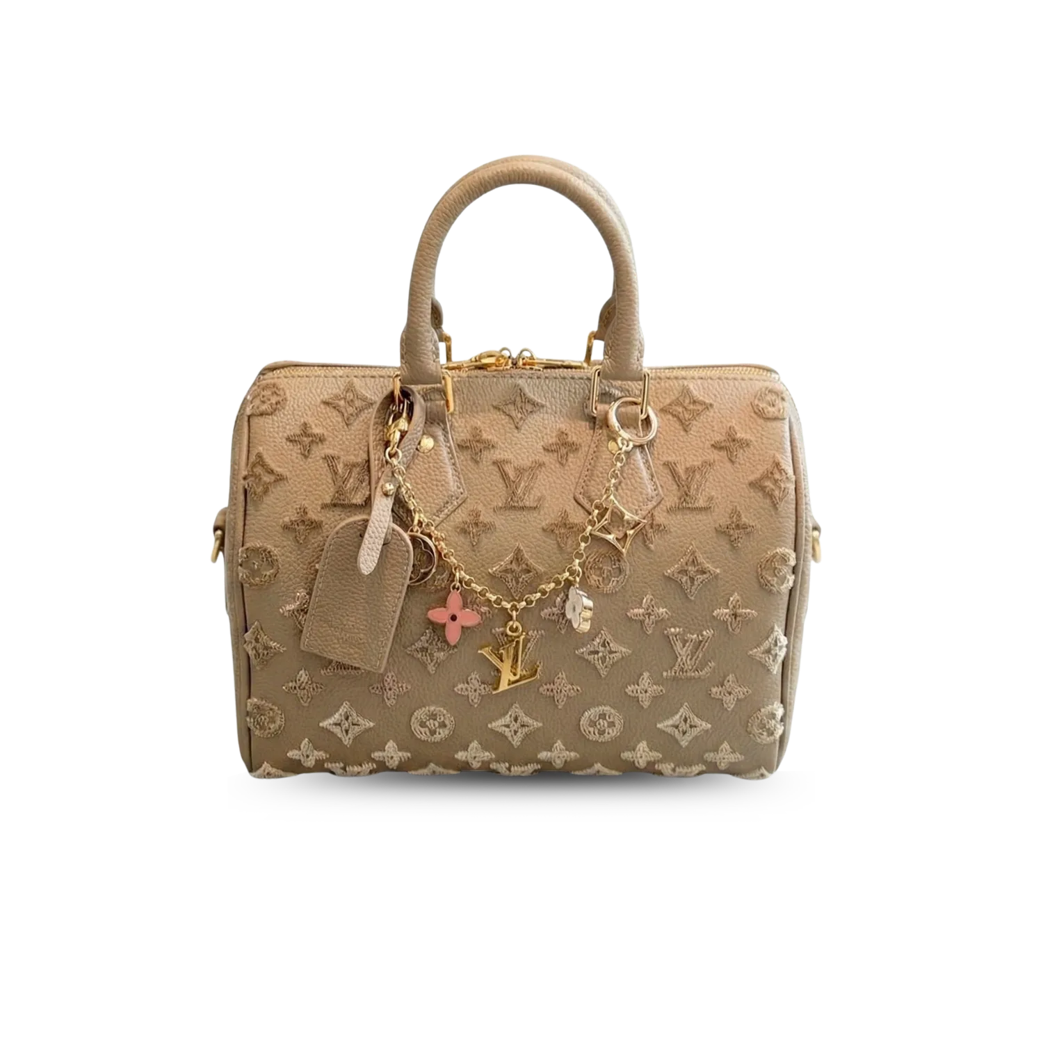 Louis Vuitton Speedy