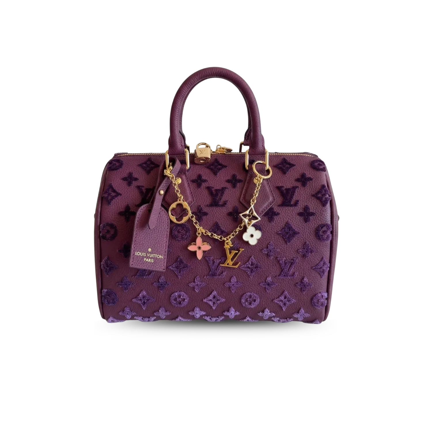 Louis Vuitton Speedy