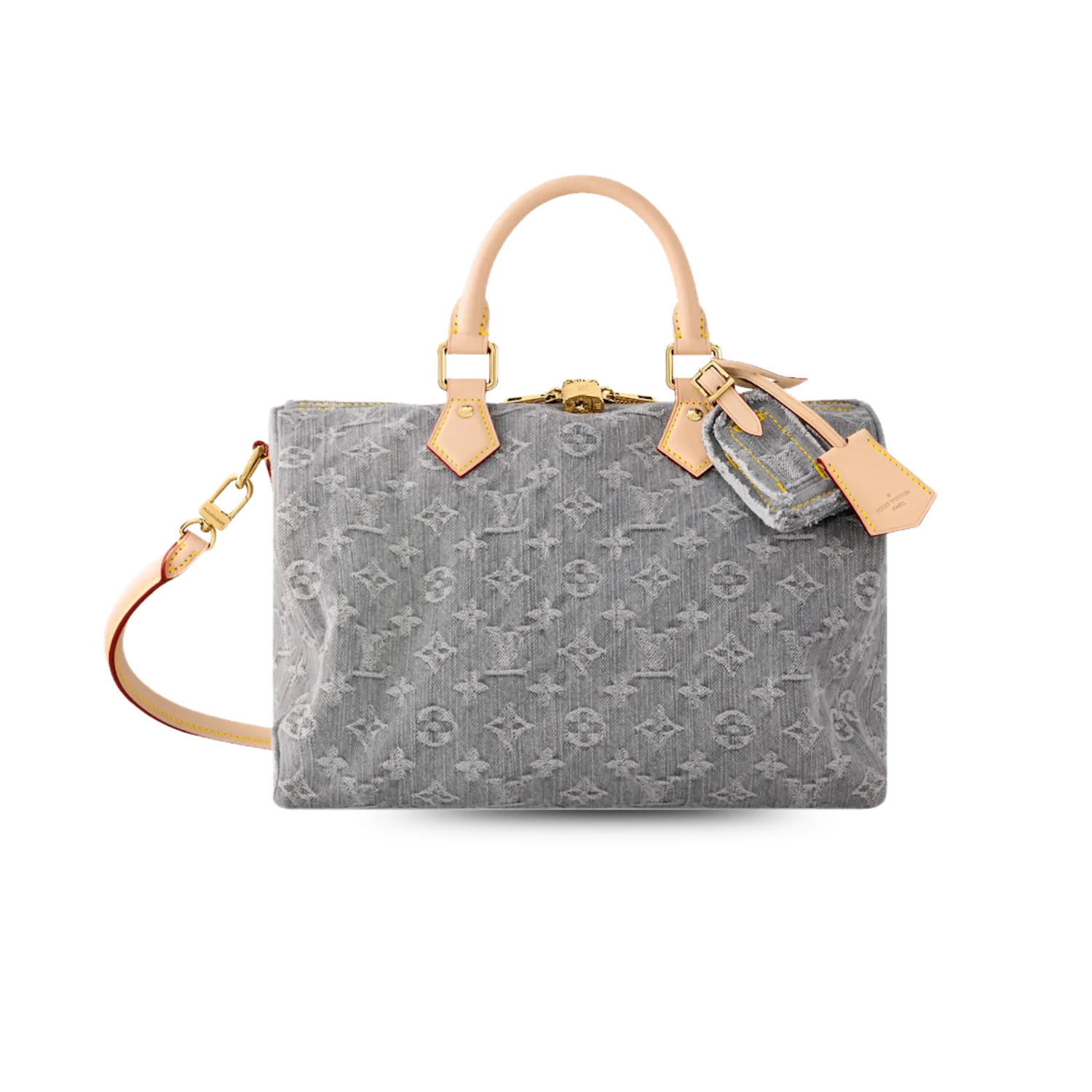 Louis Vuitton Speedy Soft 30 Top Handle Bag / Washed Gray Gold Hardware