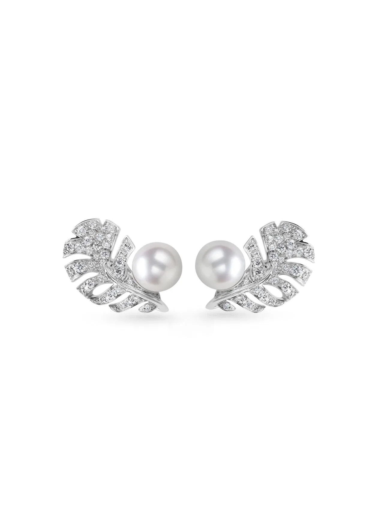Chanel Plume De Chanel