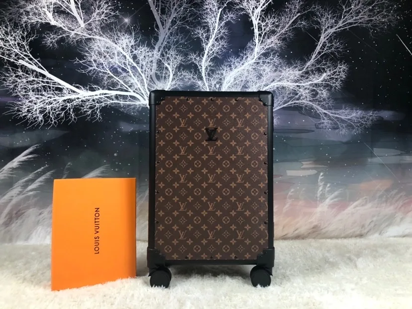 Louis Vuitton Rolling Trunk Brown / - Image 2