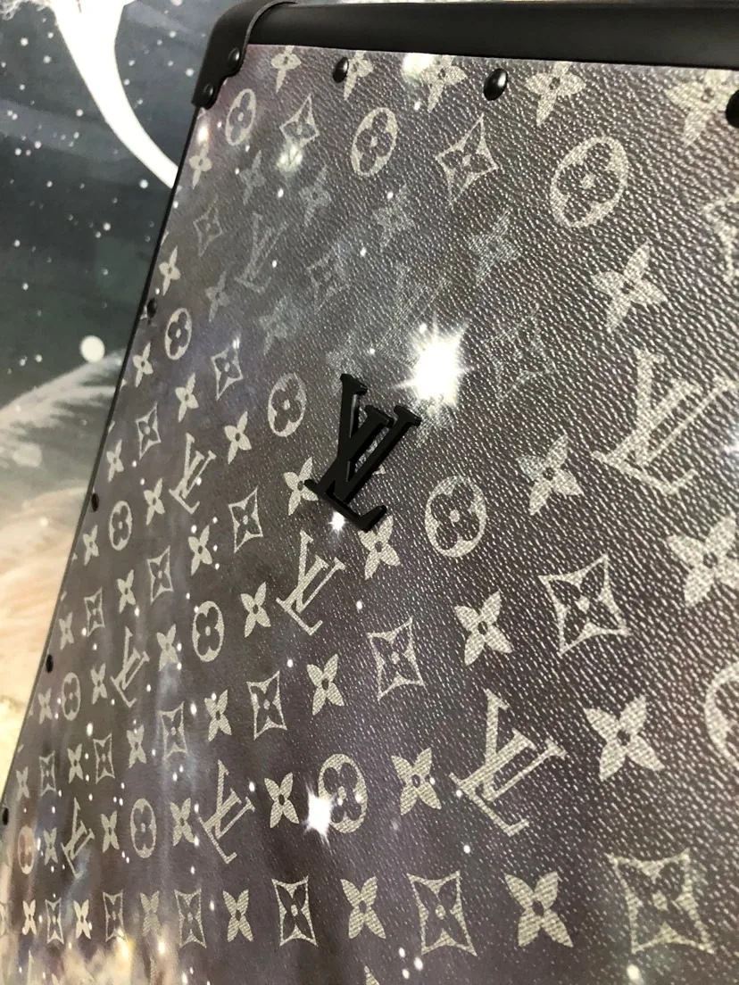 Louis Vuitton Rolling Trunk Grey / - Image 8