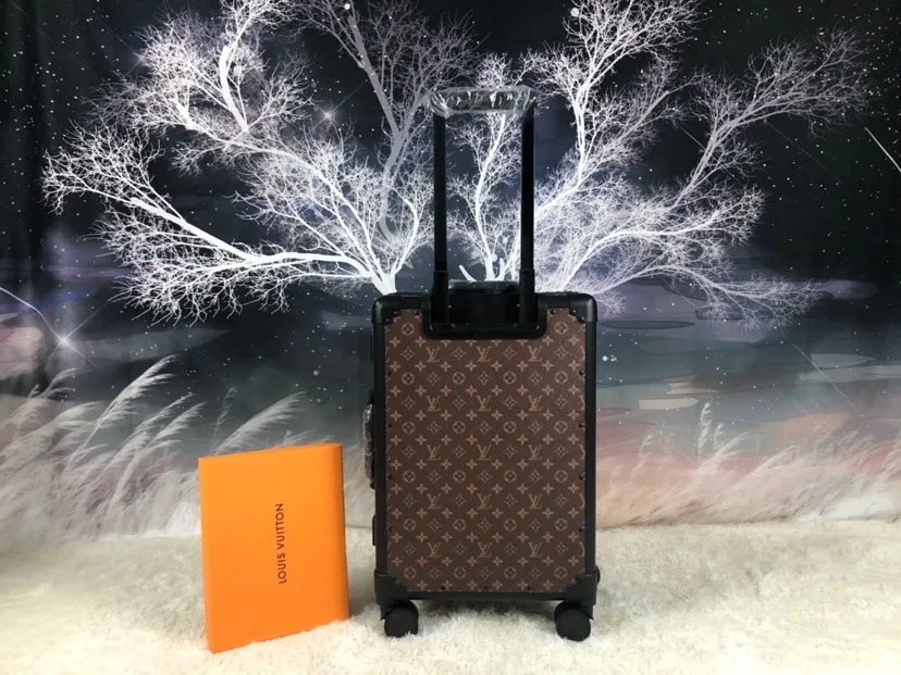 Louis Vuitton Rolling Trunk Brown / - Image 4
