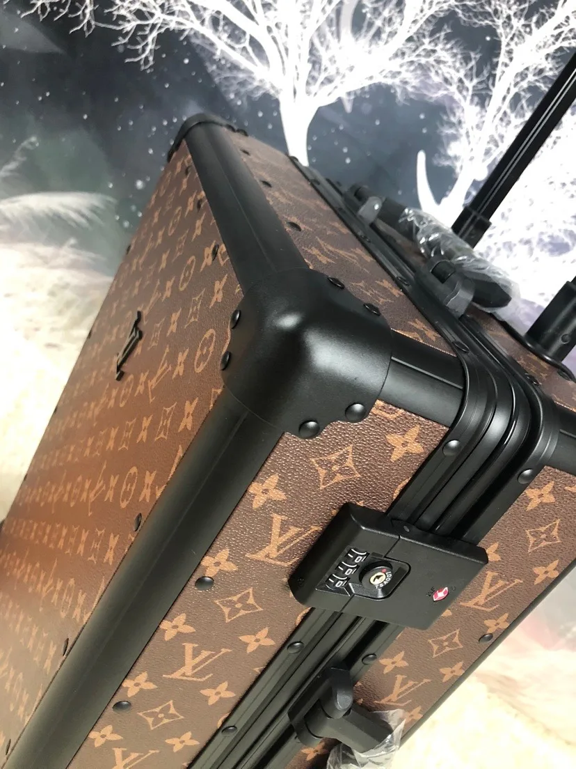 Louis Vuitton Rolling Trunk Brown / - Image 5
