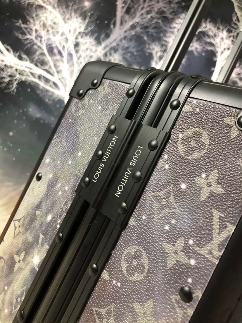Louis Vuitton Rolling Trunk Grey / - Image 6
