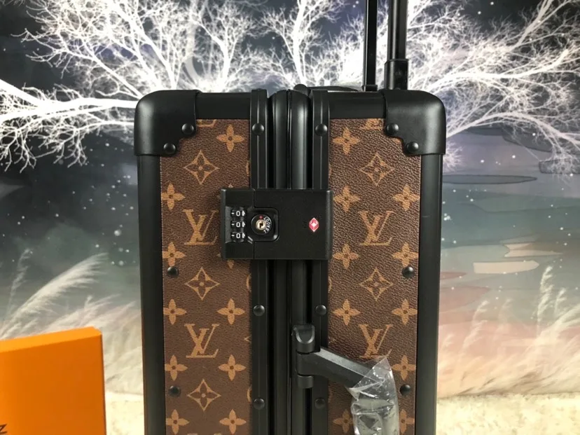 Louis Vuitton Rolling Trunk Brown / - Image 6