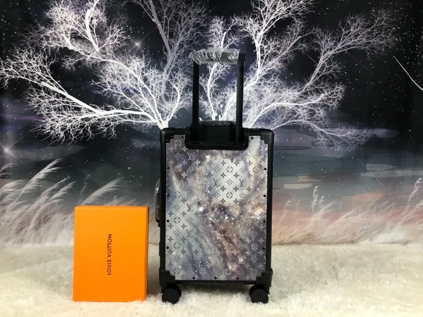 Louis Vuitton Rolling Trunk Grey / - Image 5