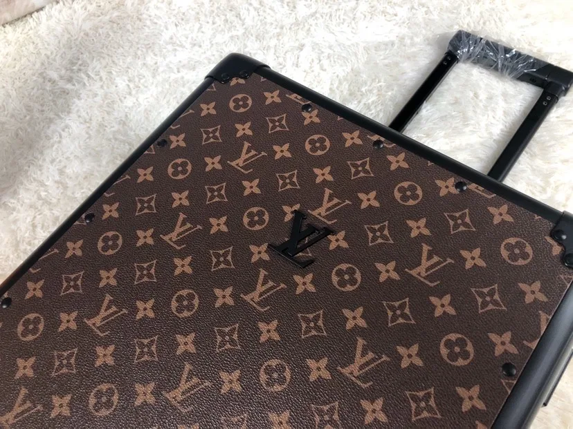 Louis Vuitton Rolling Trunk Brown / - Image 7