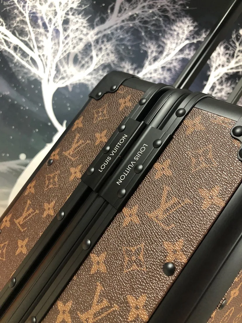 Louis Vuitton Rolling Trunk Brown / - Image 8