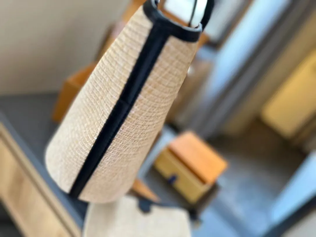 Louis Vuitton Saint Jacques Raffia Beige - Image 3