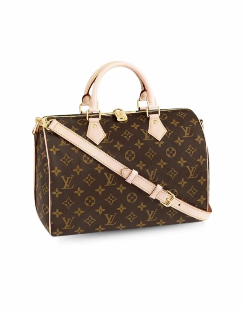 Louis Vuitton Speedy