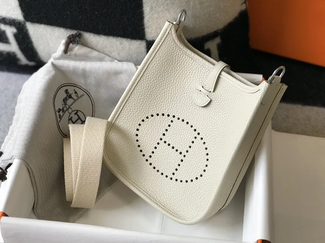 Hermes Evelyne 16 Amazone Bag Beige With Silver-Toned Hardware - Image 5