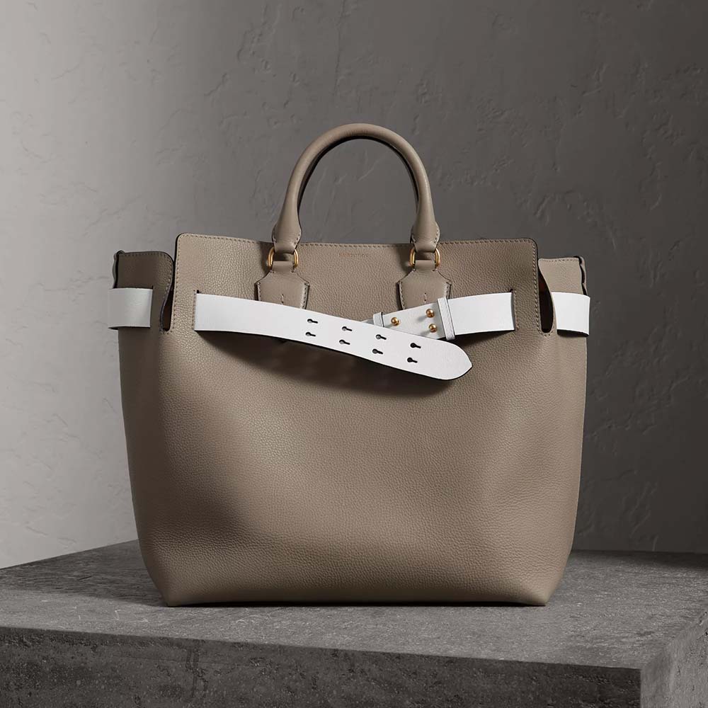 Front view of Burberry Women Large Leather Belt Bag-Silver highlighting silver leather