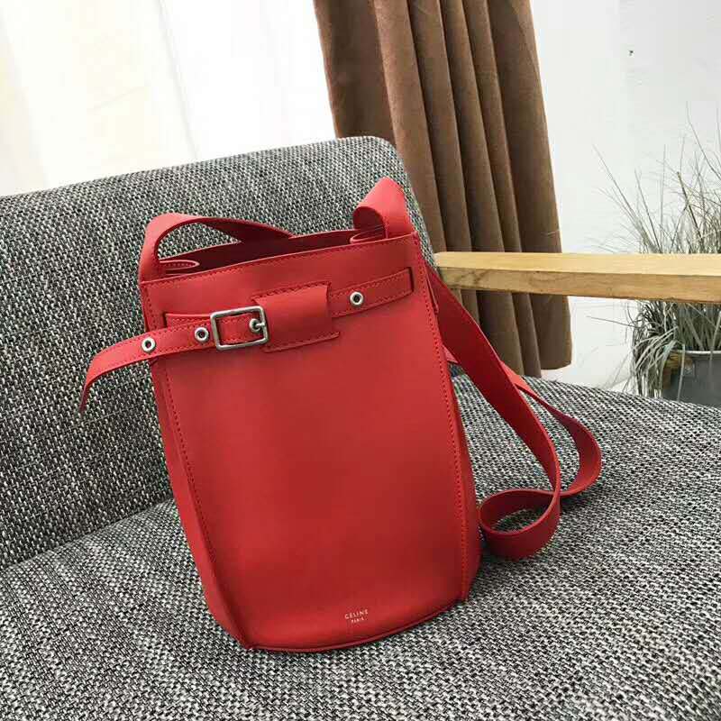 Side angle showing spacious bucket silhouette of Celine Women Big Bag Bucket
