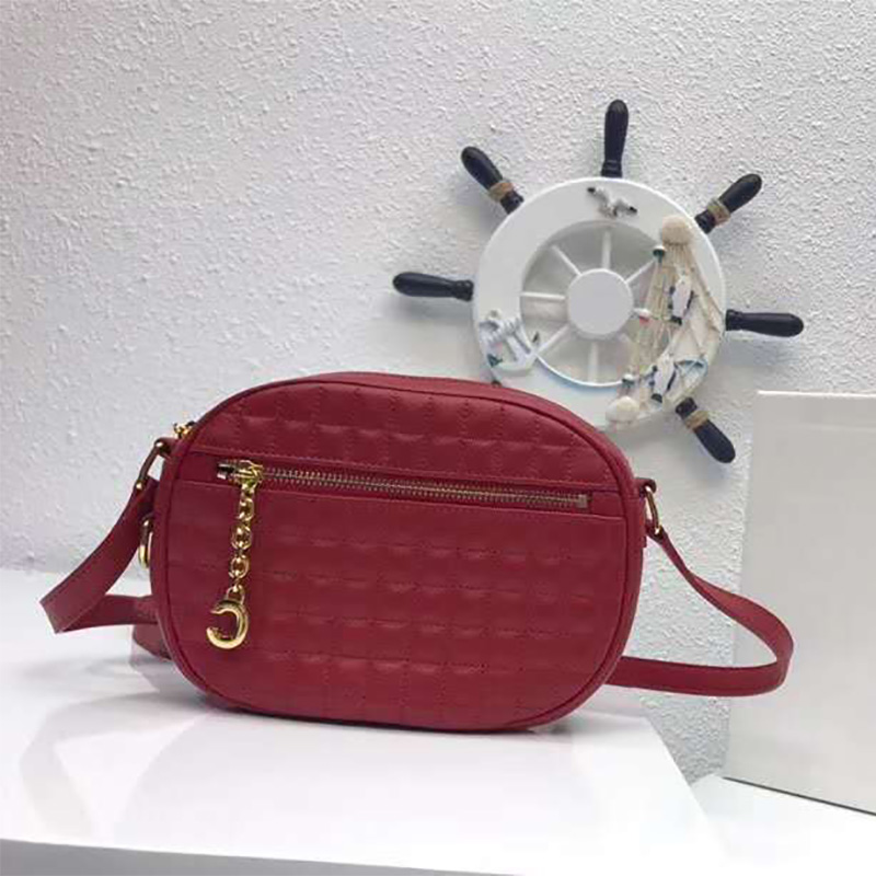 Close-up of signature C charm hardware on Celine Small C Charm Bag