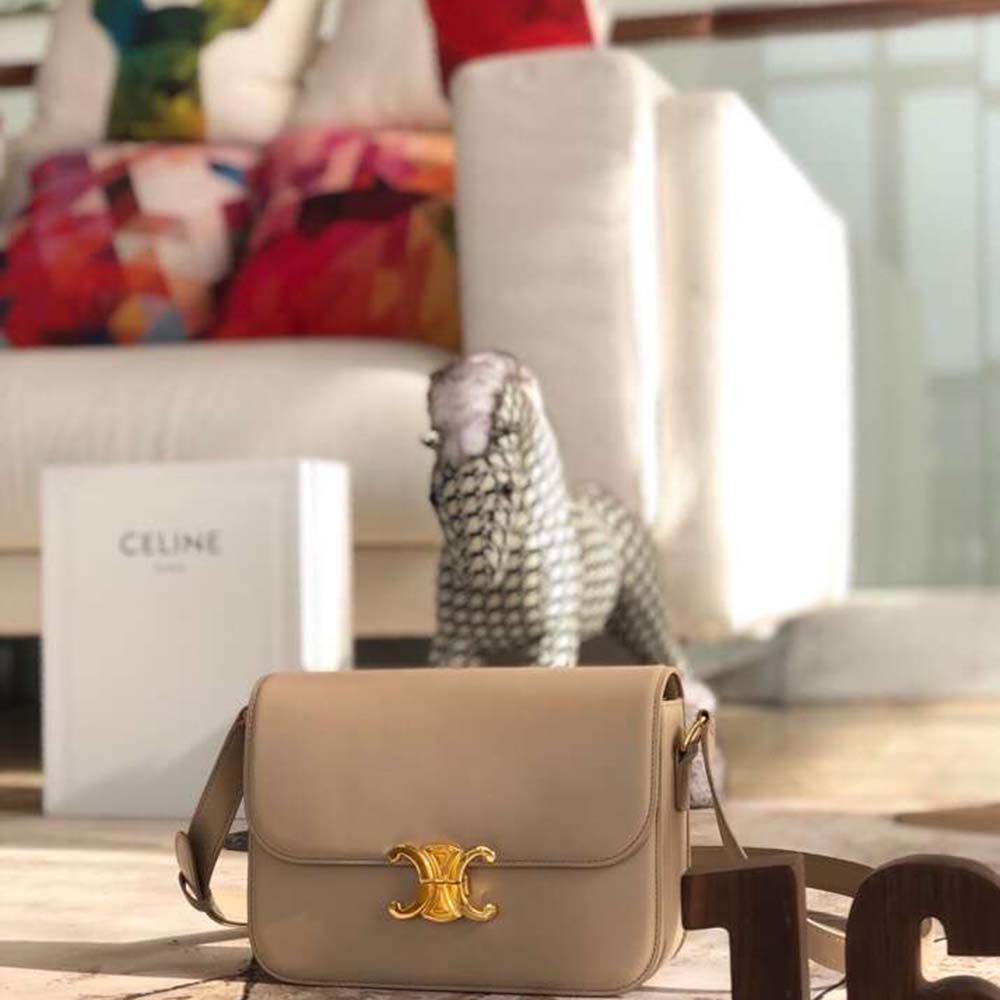 Close-up of signature Triomphe gold clasp on Celine Women Teen Triomphe Bag
