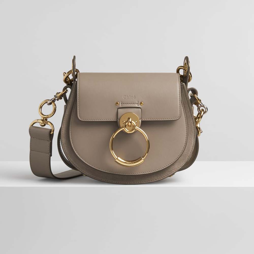 Front view of Chloe Women Small Tess Bag in shiny and suede calfskin brown