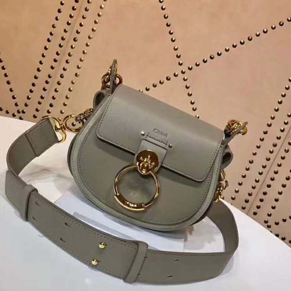 Close-up of gold-tone hardware and brown leather texture on Chloe Women Small Tess Bag