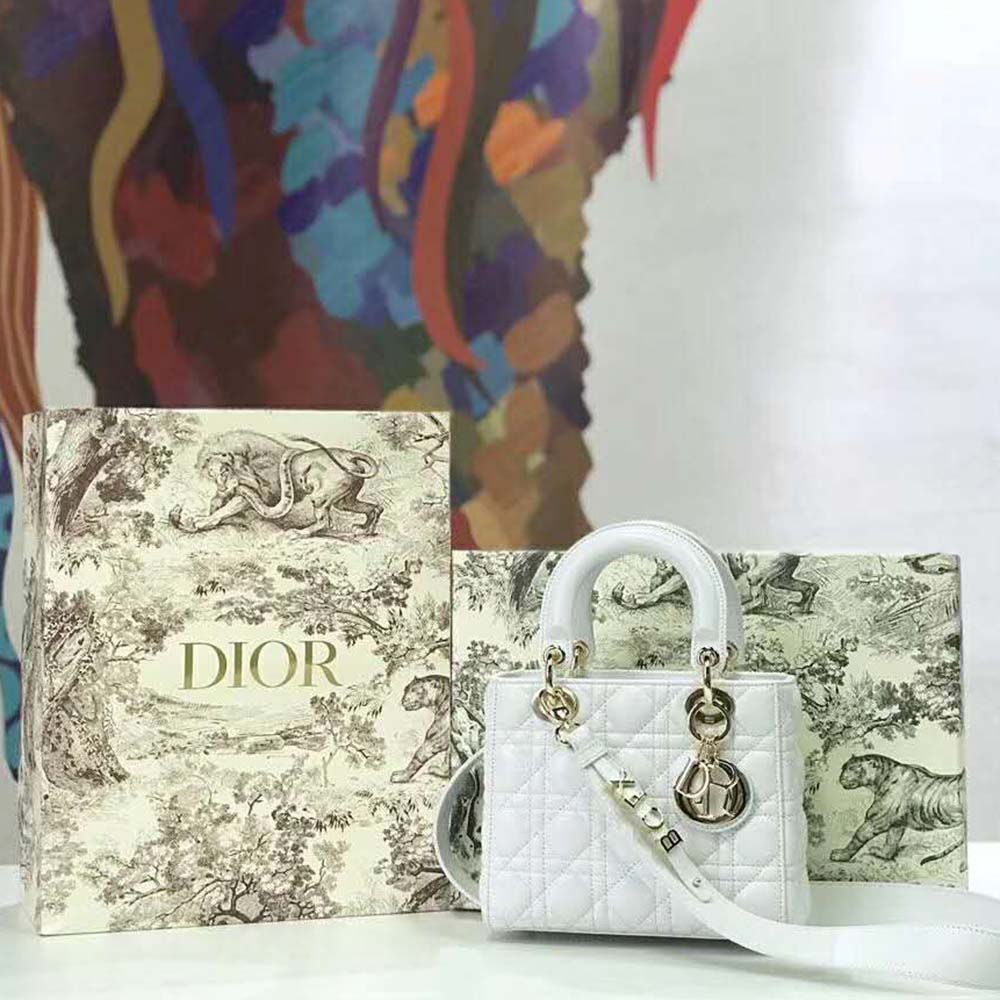 Close-up of signature hardware on Dior Women MY ABCDIOR bag