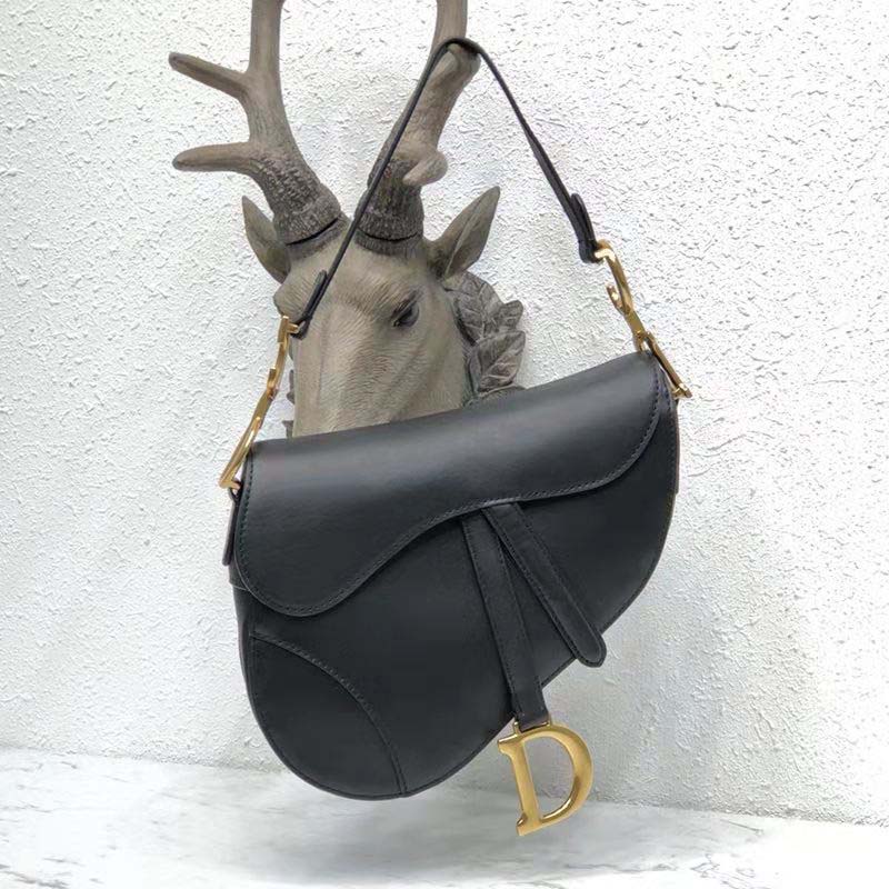 Close-up of silver-tone hardware on Dior Women Mini Saddle Bag