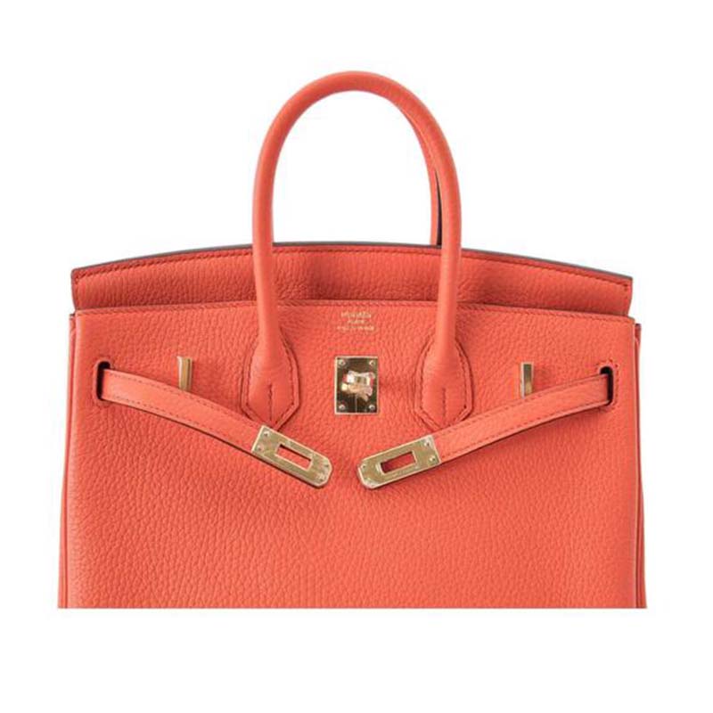 Hermes Birkin 25 Bag in Togo Leather with Gold Hardware-Orange - image 4
