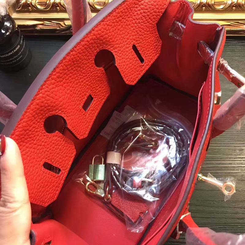 Hermes Birkin 25 Bag in Togo Leather with Gold Hardware-Red - image 7