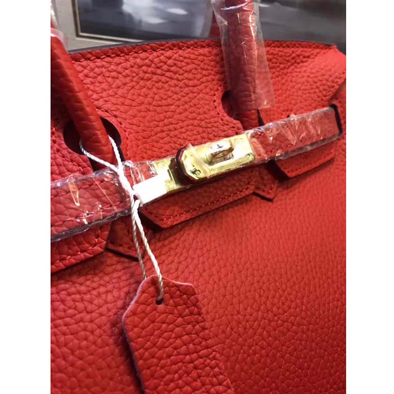 Hermes Birkin 25 Bag in Togo Leather with Gold Hardware-Red - image 6