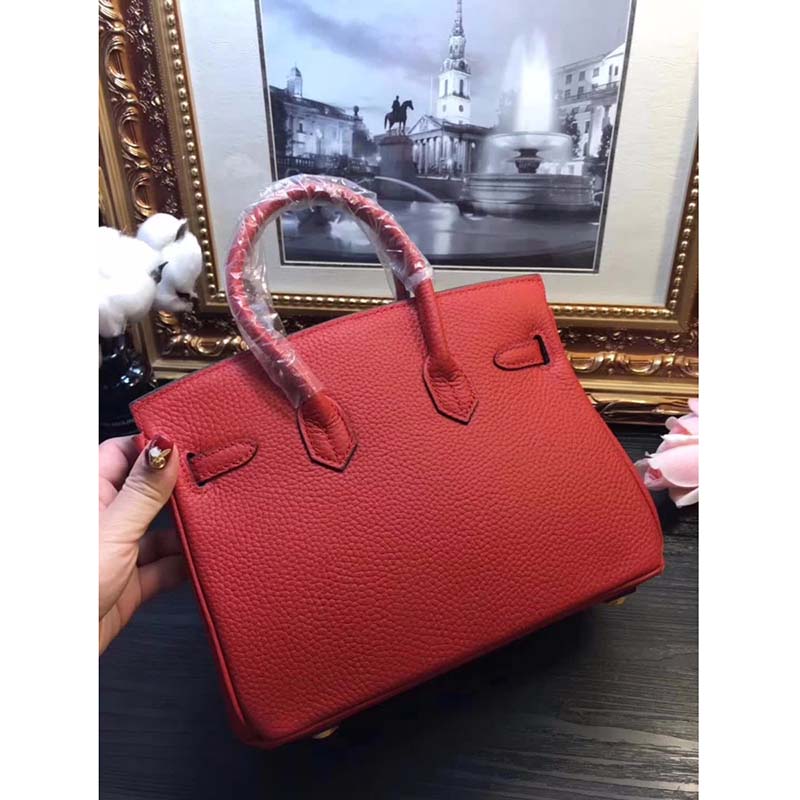 Hermes Birkin 25 Bag in Togo Leather with Gold Hardware-Red - image 5