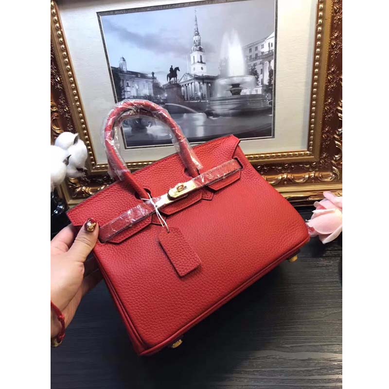 Hermes Birkin 25 Bag in Togo Leather with Gold Hardware-Red - image 4